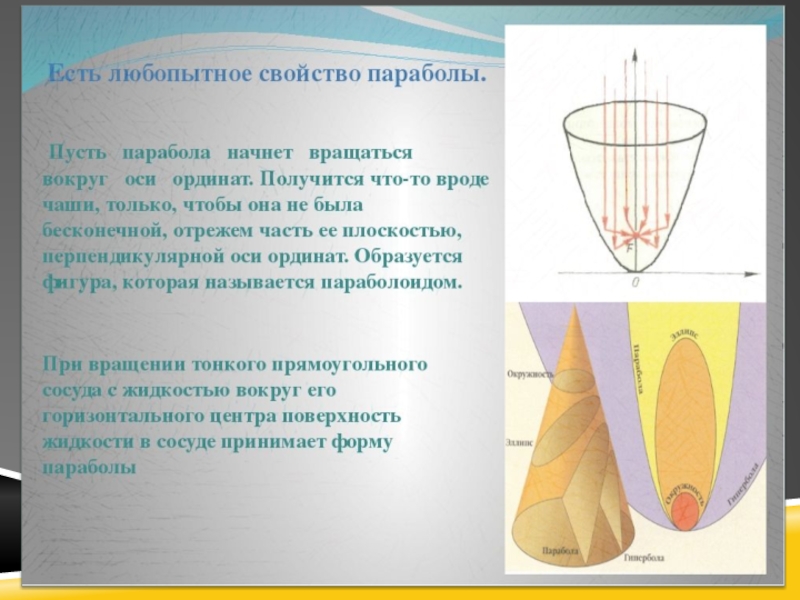 Проект квадратичная функция в жизни человека