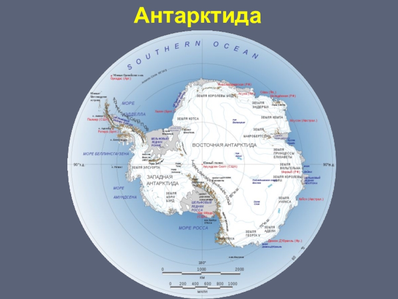 Тест по географии 7 класс тема антарктида