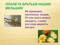 Классный час: Планета братьев наших меньших