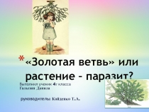 Презентация по окружающему миру на тему Золотая ветвь или растение – паразит? (Омела) (4 класс)