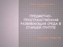 Презентация. Предметно- Пространственная развивающая среда в старшей группе
