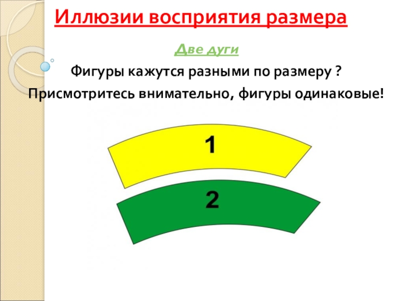 Почему мы видим одинаковые фигуры разными. Иллюзия восприятия размера. Оптические иллюзии размера. Оптические иллюзии восприятия размера. Оптические иллюзии длина.