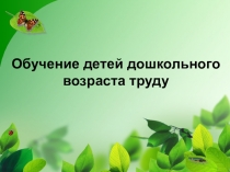 Обучение детей дошкольного возраста труду