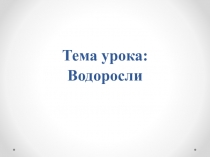 Презентация по биологии на тему Водоросли