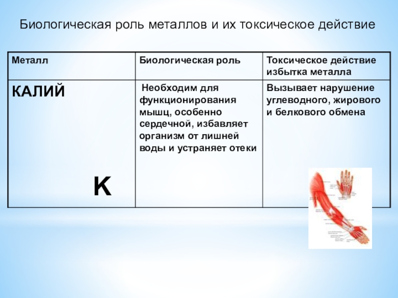 Презентация на тему биологическая роль металлов