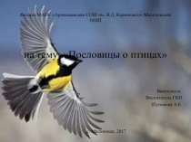 Презентация Пословицы о птицах