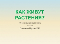 Презентация по окружающему миру на тему Как живут растения