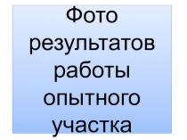 Презентация Работа опытного участка