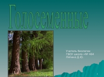 Презентация по биологии Голосемянные 5 класс