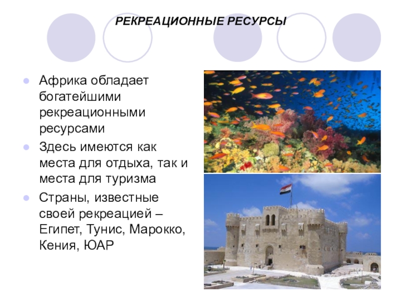 рекреационные ресурсы северо западного экономического района. рекреационное хозяйство восточной африки. рекреационное хозяйство африки. рекреационные ресурсы южной африки. рекреационные ресурсы африки.