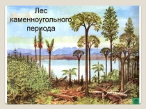 Презентация по биологии на тему Отдел Папоротникообразные