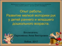 Презентация опыта работы Развитие мелкой моторики рук у детей младшего дошкольного возраста (младшая группа детского сада)