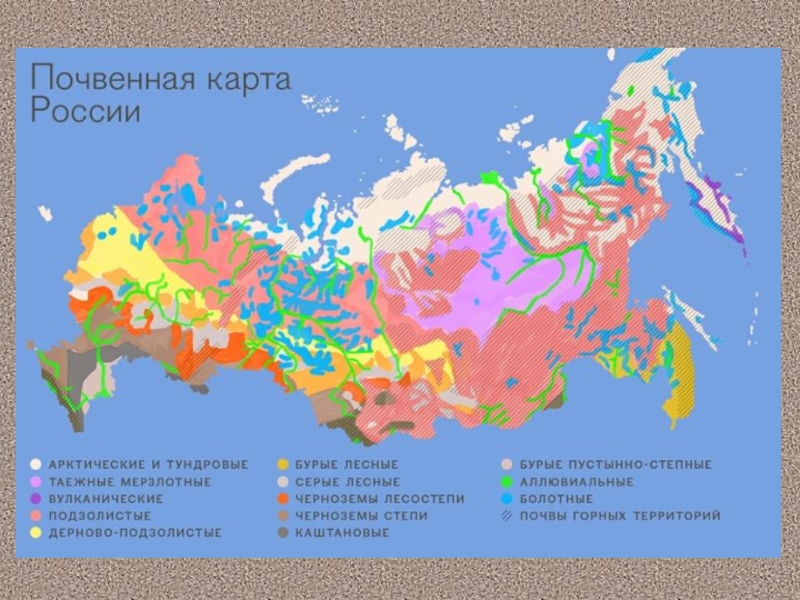 Какие области черноземные почвы россии. Типы почв России карта. Типы почв России на карте 8 класс география. Карта почв 8 класс география. Зональные типы почв России на контурной карте.