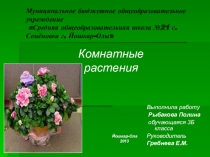 Комнатные растения