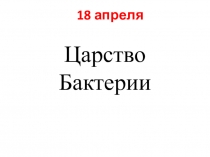 Презентация по биологии на тему Царство Бактерии