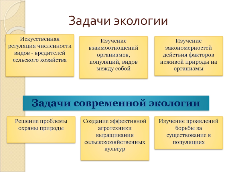 Предмет экологии задачи разделы экологии презентация