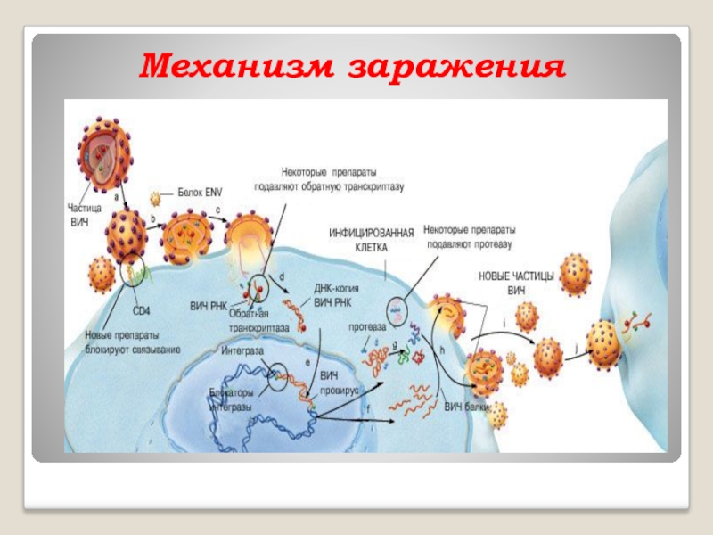 Механизмы заражения