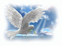 Урок, Презентация. Сергуненко Б.Конь Мотылек.