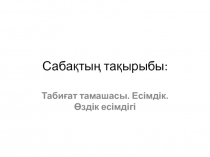 Презентация по казахскому языку на тему Есімдіктер.Табиғат тамашасы