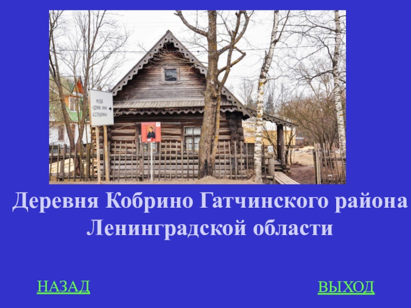 Погода в кобрино ленинградской. Деревня Кобрино Ленинградская область. Погода в Кобрино.