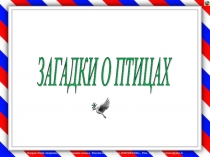 Презентация по окружающему мир Птицы
