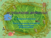 Презентация по окружающему миру