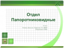 Презентация по биологии на тему Папоротники(6 класс)