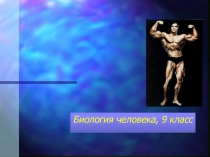 Презентация к уроку Строение мышц. Основные группы мышц человека (биология, 9 класс)