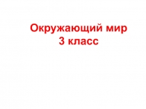 Презентация по окружающему миру Природа в опасности