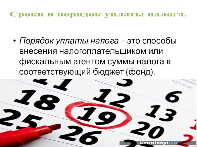 Порядок уплаты налога