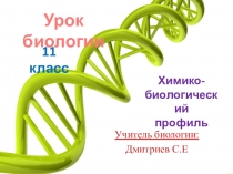 Презентация по биологии на тему Мейоз (11 класс)