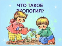 Презентация по окружающему миру на тему Экология. Что это такое?