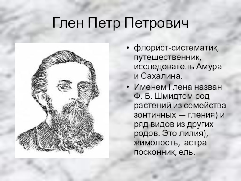 История исследования природы. Петр Петрович Глен. Сообщение о Дальском. Путешественник исследователь теория города z. Доклад о Великом вычегодце.