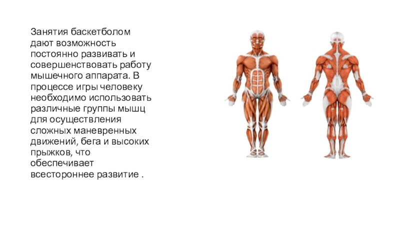 Развитие группы мышц. Влияние занятиями баскетболом на организм. Воздействие баскетбола на организм человека. Влияние игры в баскетбол на организм человека. Какие мышцы работают в баскетболе.