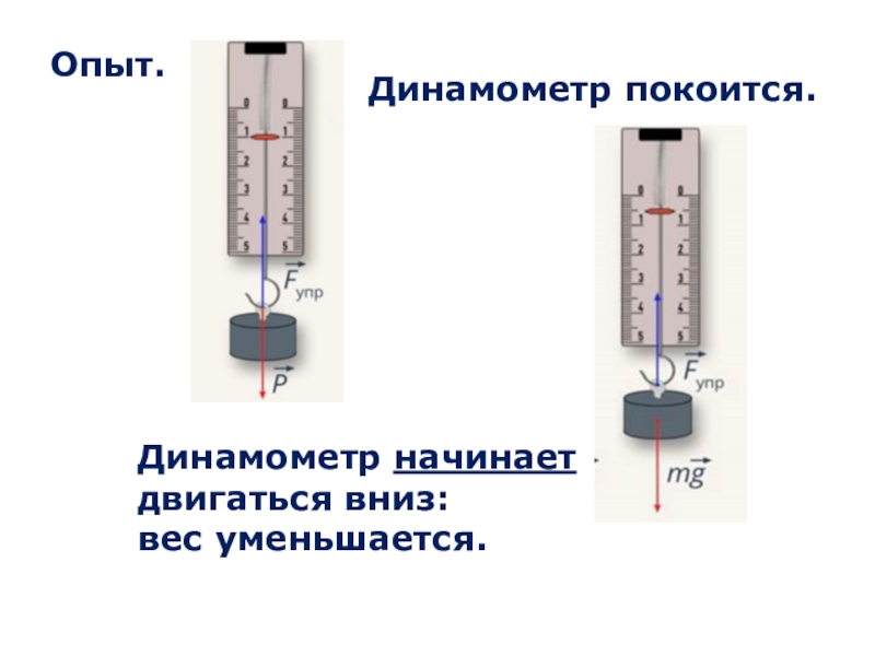 Динамометр рисунок физика