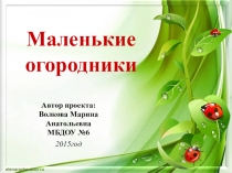 Проектная деятельность в старшей группе Маленькие огородники