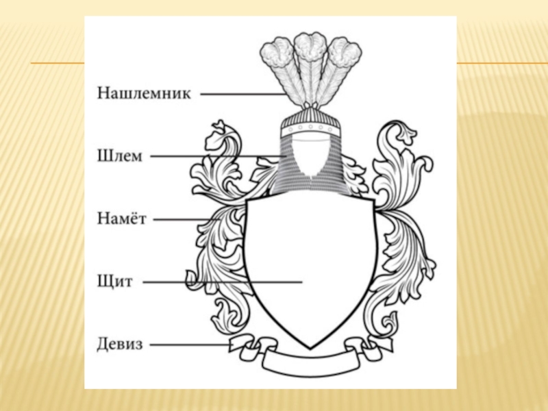 Геральдика семейный герб проект