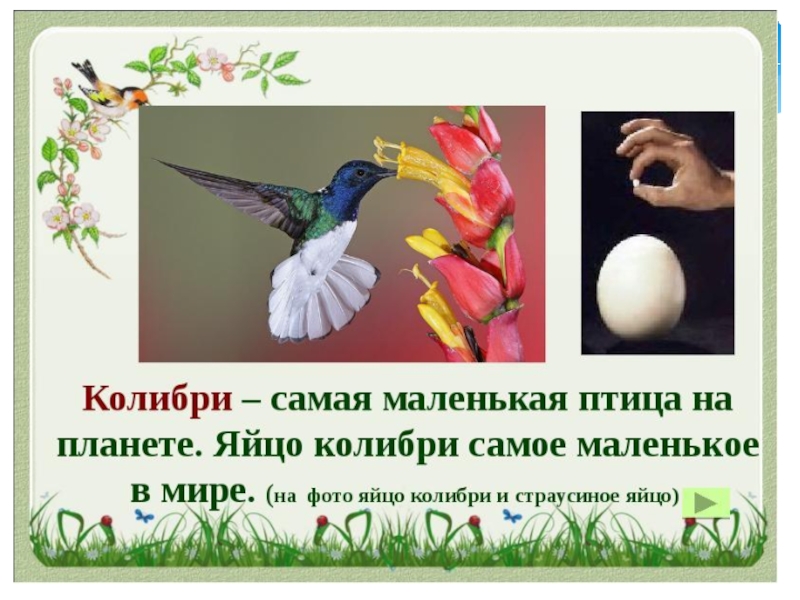 1 апреля день птиц презентация для детей