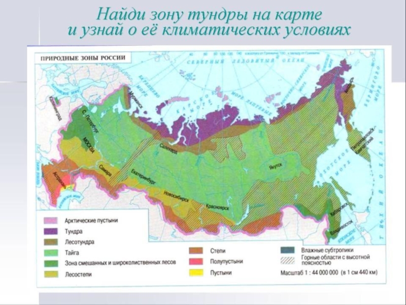 Цветом покажите природные зоны тундру лесотундру тайгу контурная карта