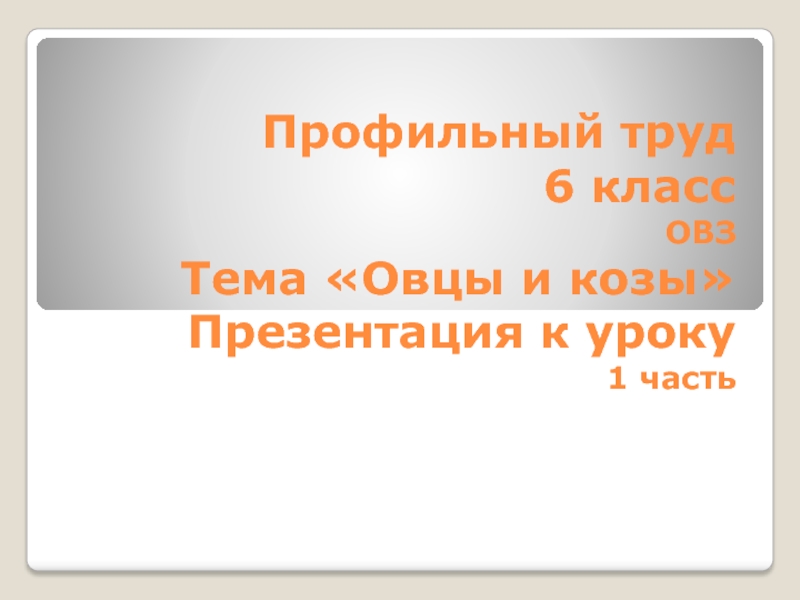 Программа профильный труд 2 вариант