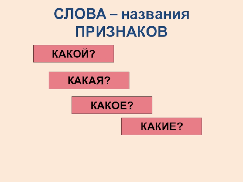 Презентация какой какая какие 1 класс