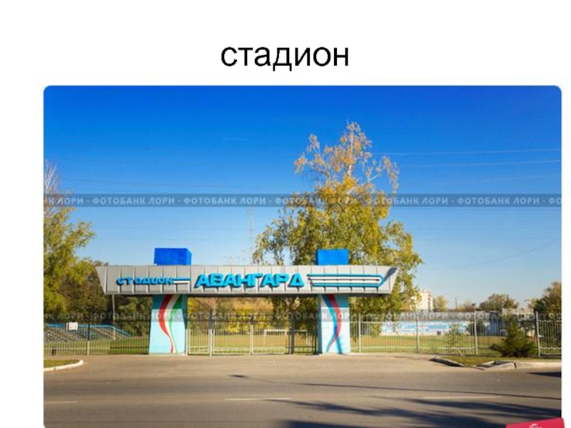 Авангард зеленодольск фото