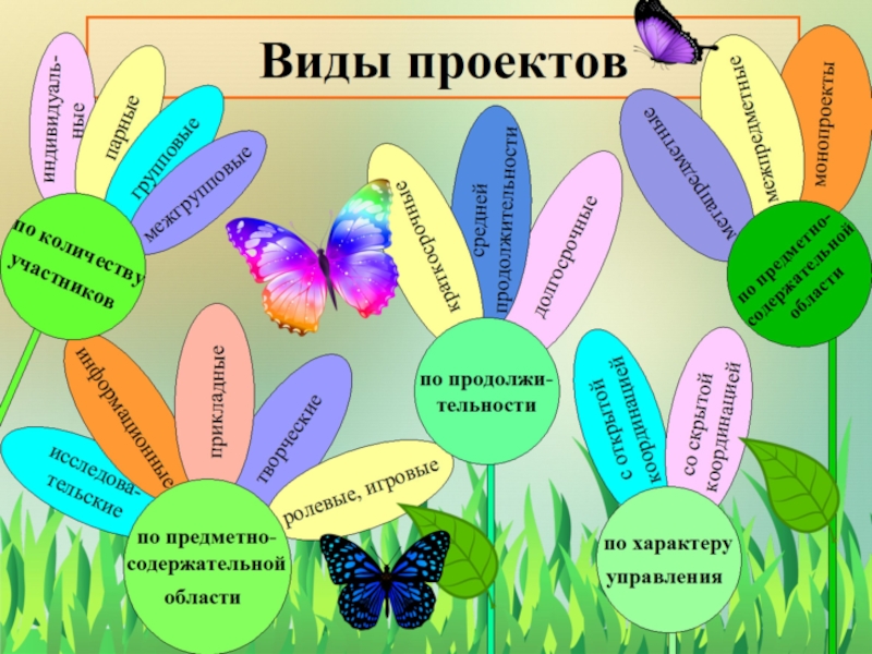 Предметно содержательной области проекта