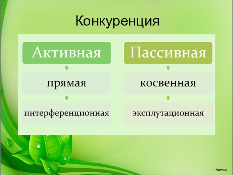 Презентация конкуренция биология