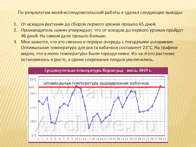 По результатам моей исследовательской работы я сделал следующие выводы:От всходов растения до сборов первого урожая