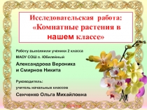 Презентация.Исследовательская работа:Комнатные растения в нашем классе
