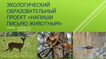 Экологический образовательный проект Напиши письмо животным