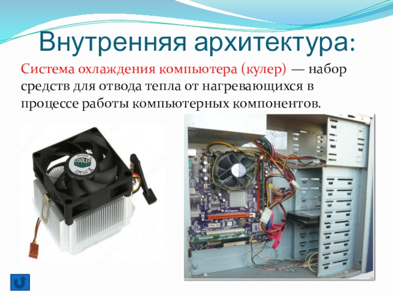 Система работы компьютера. Внутренняя архитектура ПК. Система охлаждения компьютера доклад. Системы охлаждения ПК реферат. Куллер ПК характеристика.