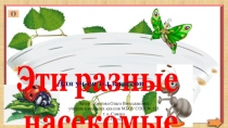 Презентация по окружающему миру на тему  Насекомые