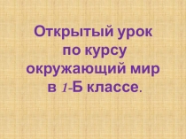 Презентация к уроку окружающий мир 1 класс Экскурсия в зоопарк